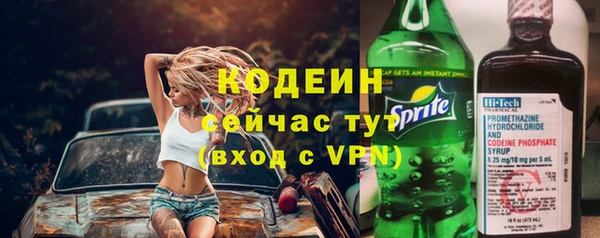 apvp Кодинск