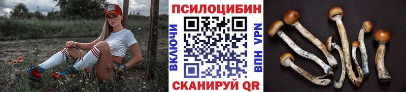 Псилоцибиновые грибы Cubensis купить наркотик мориарти как зайти Набережные Челны