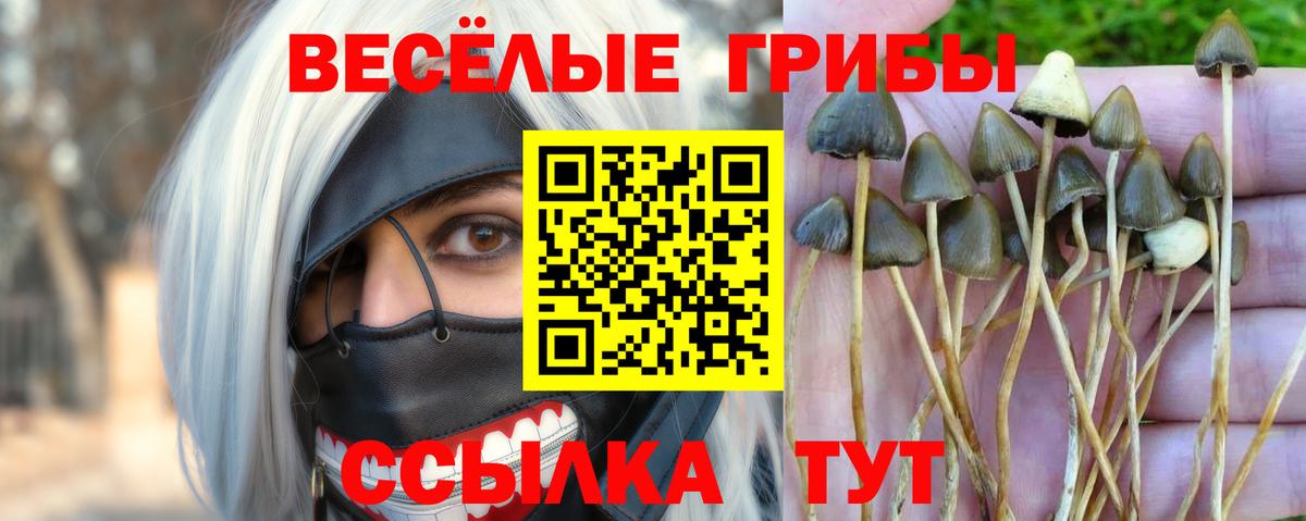 магазин продажи наркотиков  Вход с VPN  Набережные Челны  Галлюциногенные грибы мухоморы  Галлюциногенные грибы MAGIC MUSHROOMS 